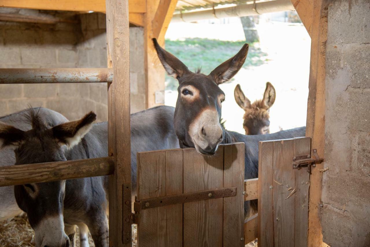La Maison Du Bonheur Roulotte Vendégház Saint-Ouen-sous-Bailly Kültér fotó